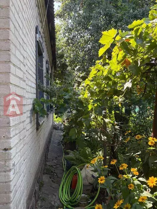 ���, 88 ��.�. ���� 5