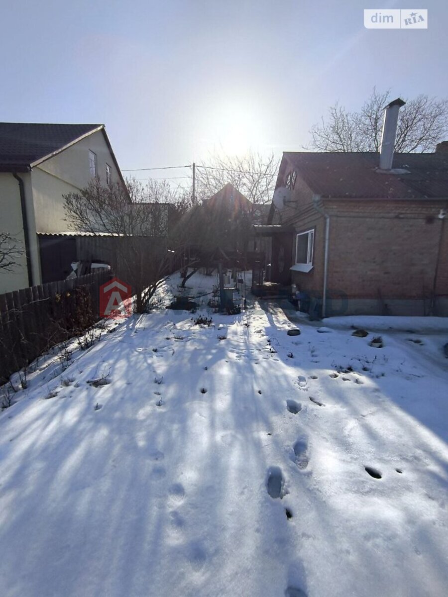 �������, 66 ��.�. ���� 12