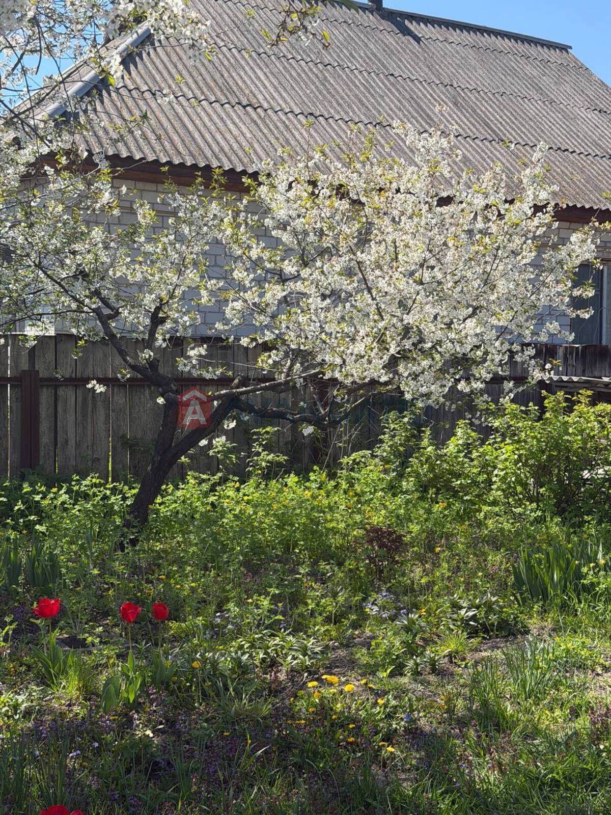 ������� �������, 60 ��.�. ���� 3