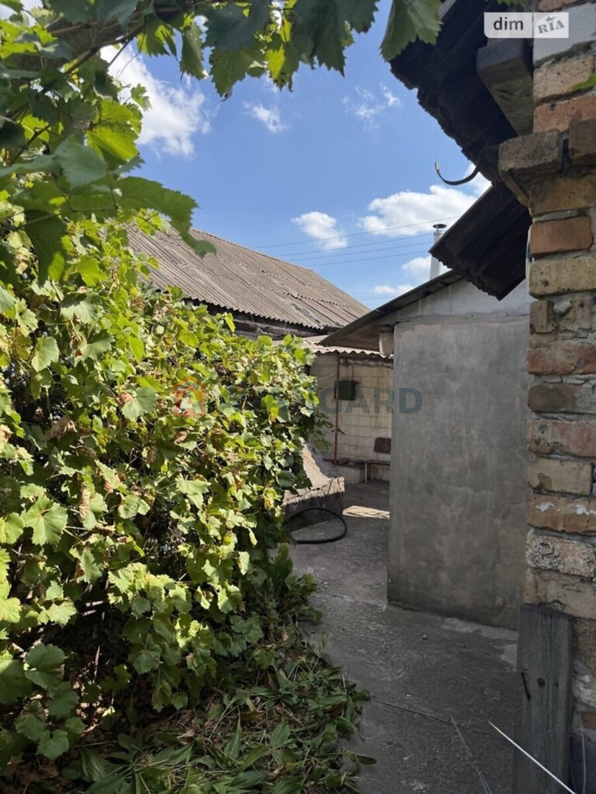 ������� �������, 52 ��.�. ���� 17