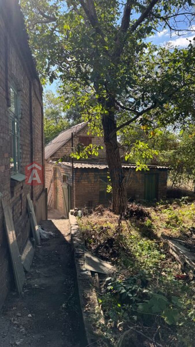 �������, 87 ��.�. ���� 10