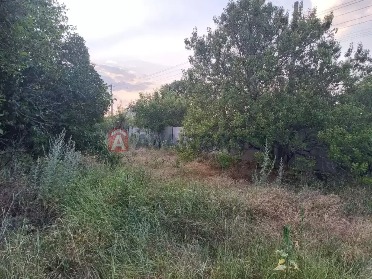 �������, 305 ��.�. ���� 3