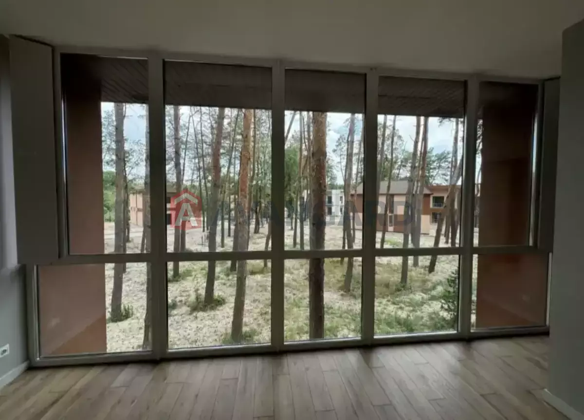 100 ��.�. ���� 12