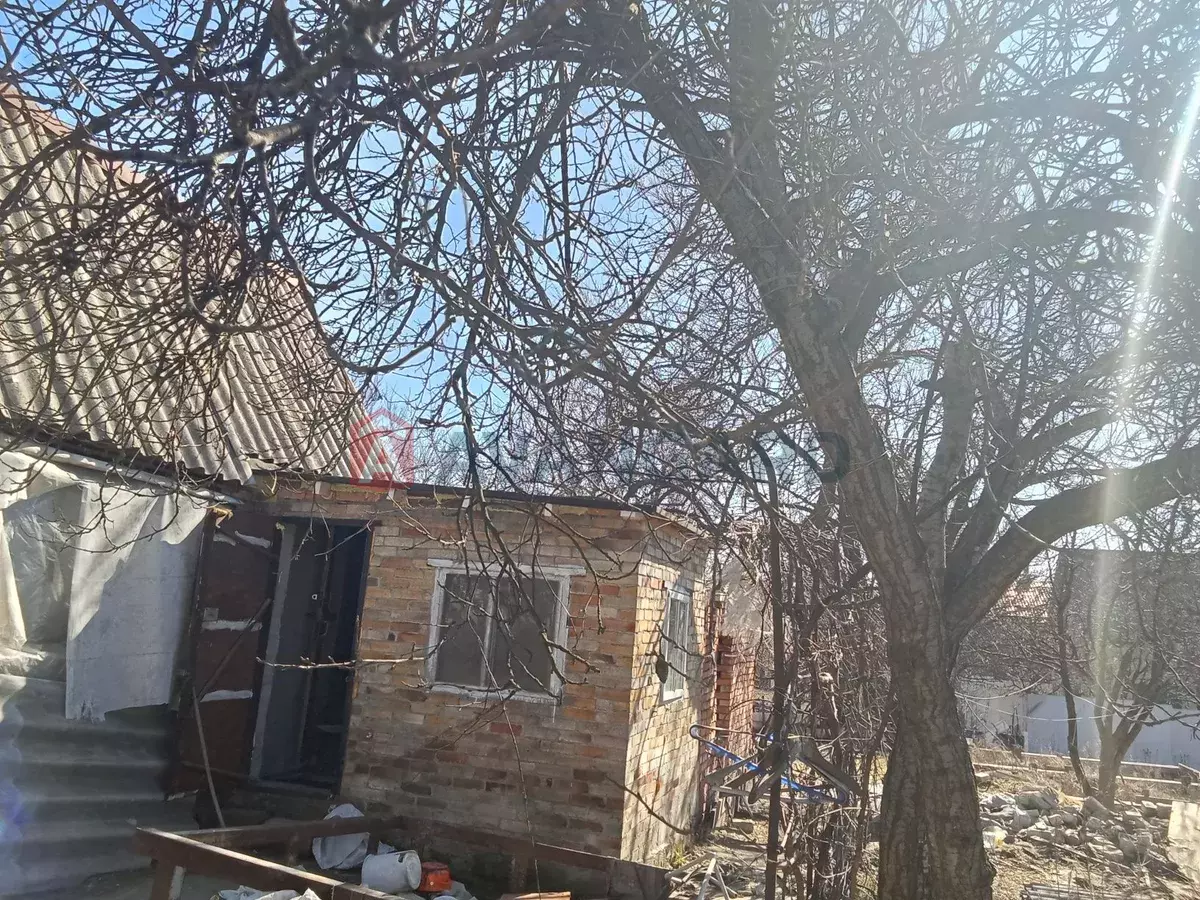 ����, 24 ��.�. ���� 11