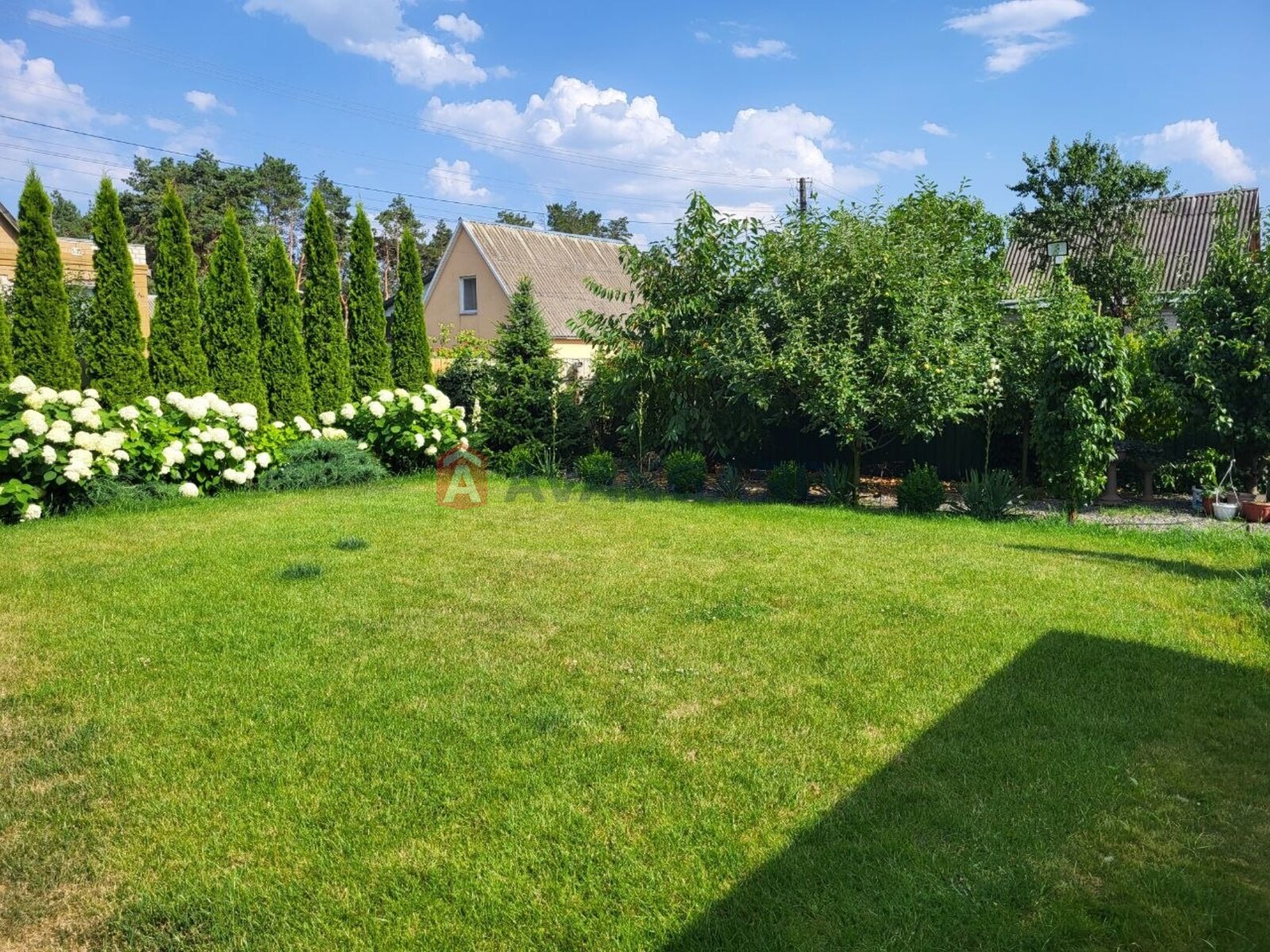 �������, 105 ��.�. ���� 20