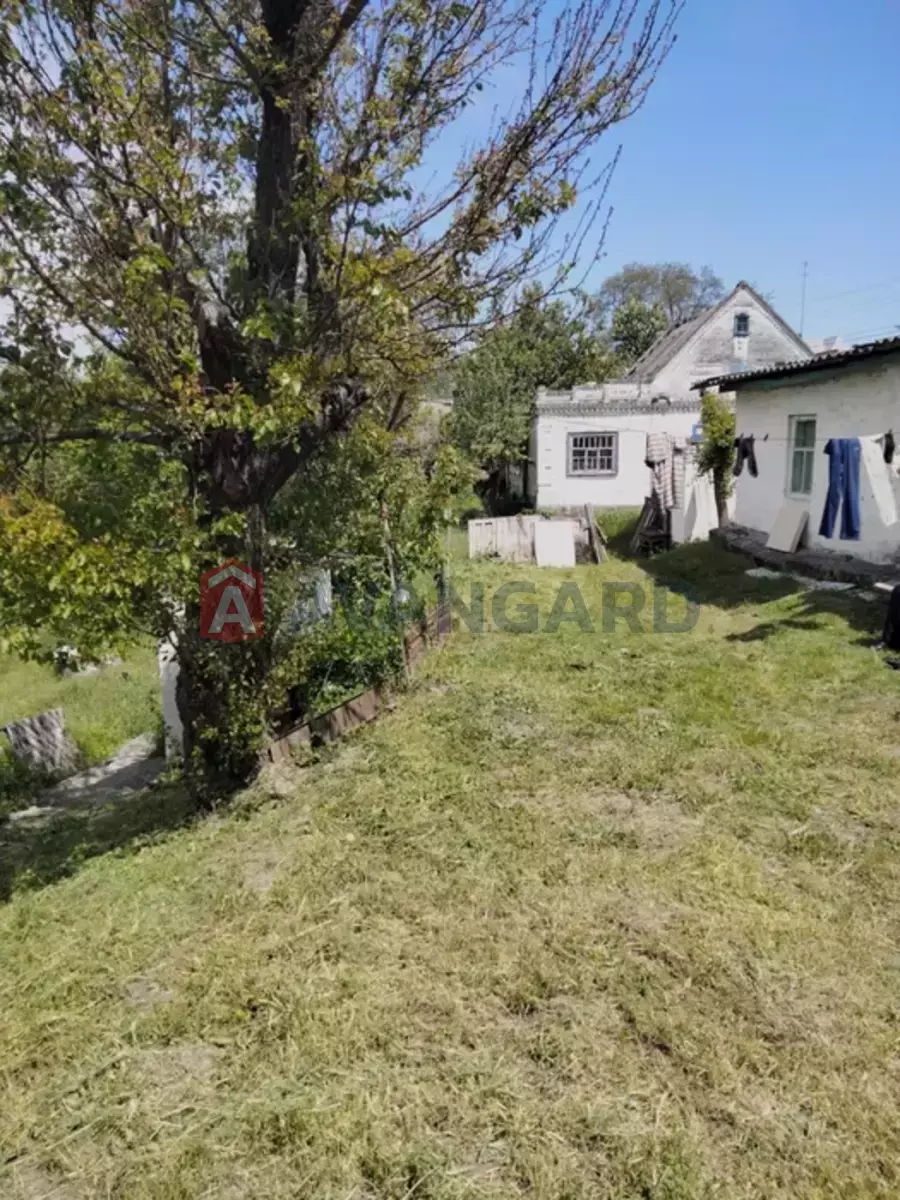 �������, 54 ��.�. ���� 19