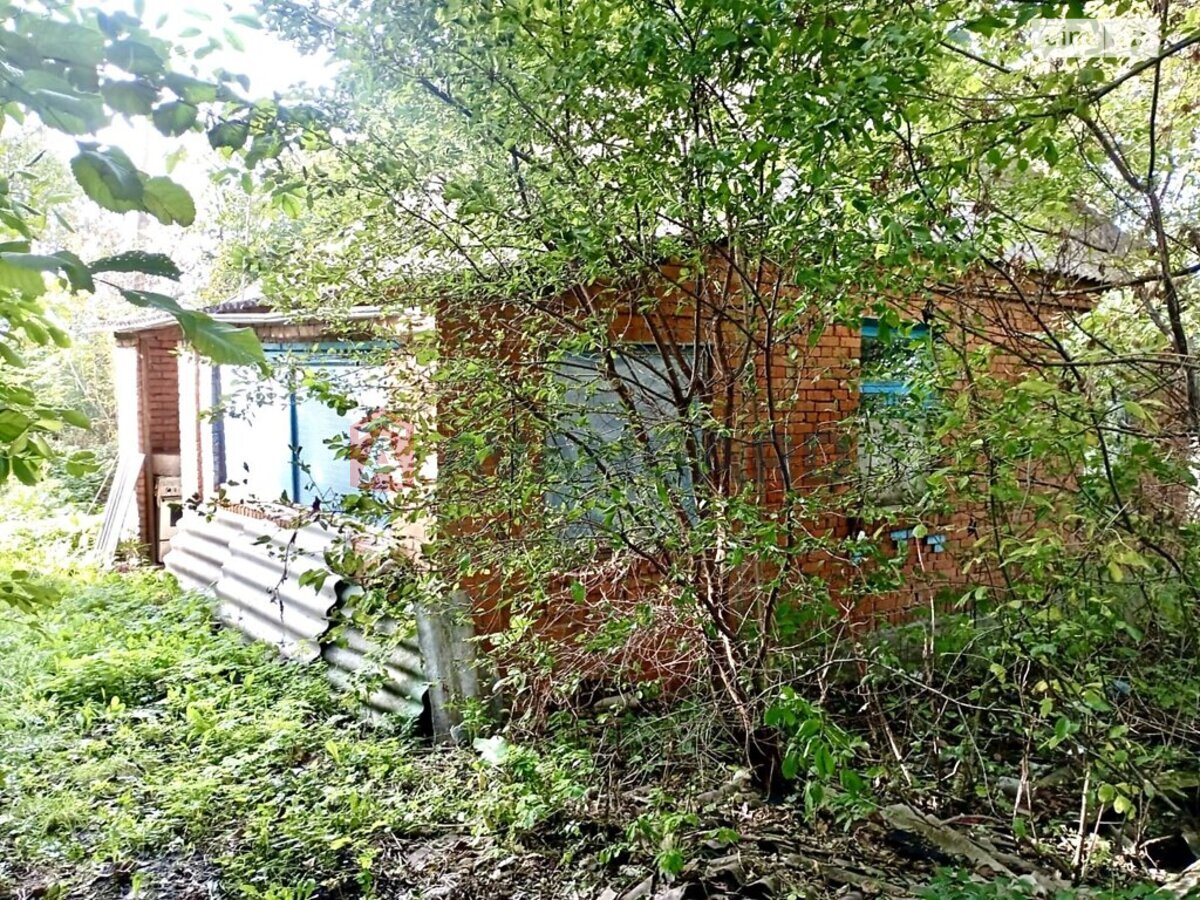 �������, 52 ��.�. ���� 13