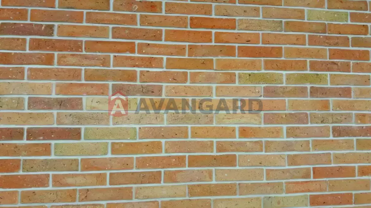 214 ��.�. ���� 22