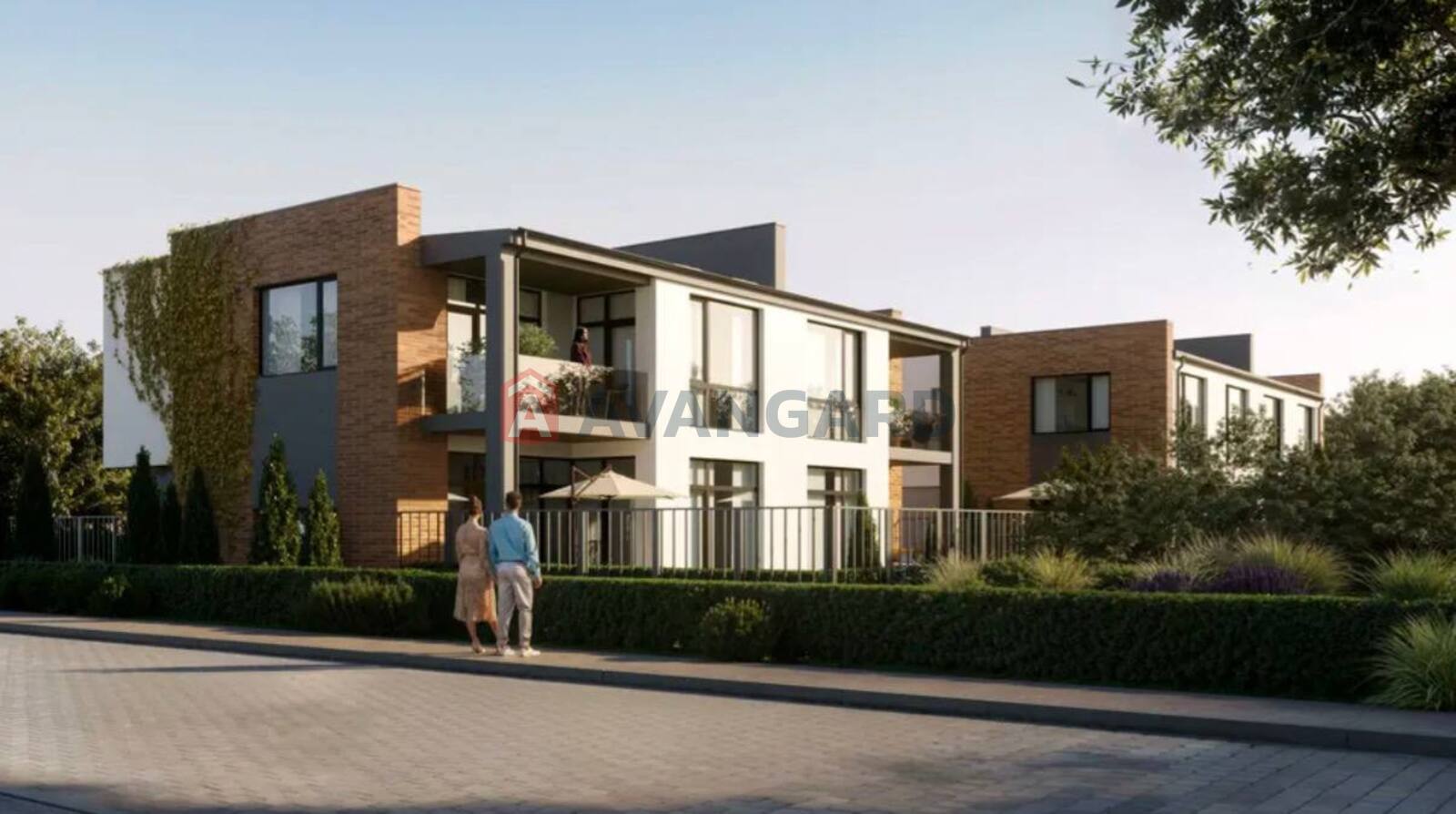 146 ��.�. ���� 1