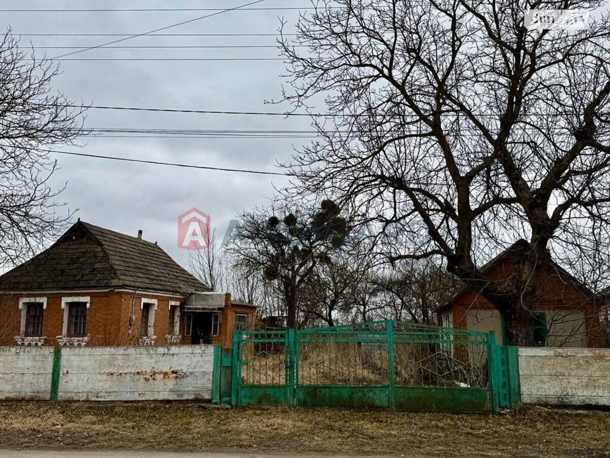 �������, 48 ��.�. ���� 24