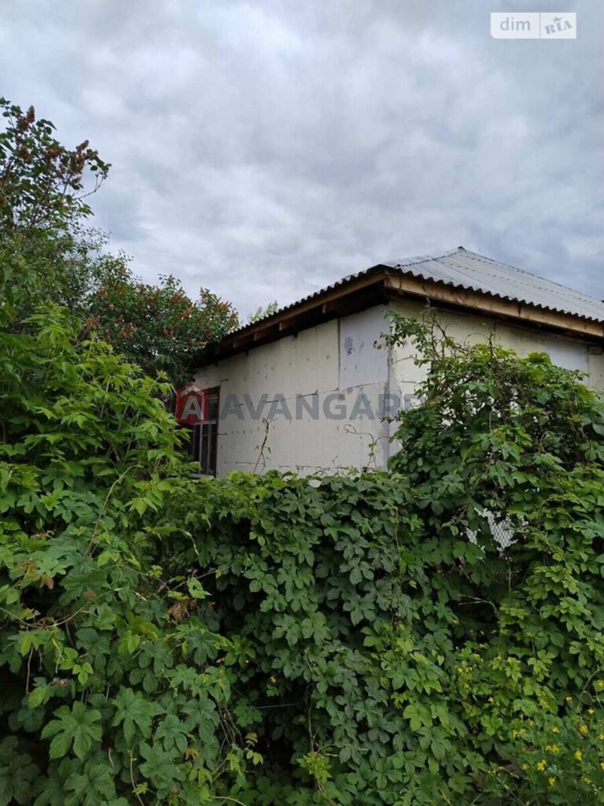 ������� �������, 45 ��.�. ���� 3