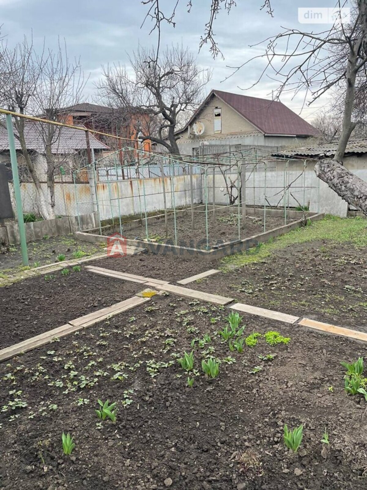 �������, 49 ��.�. ���� 13