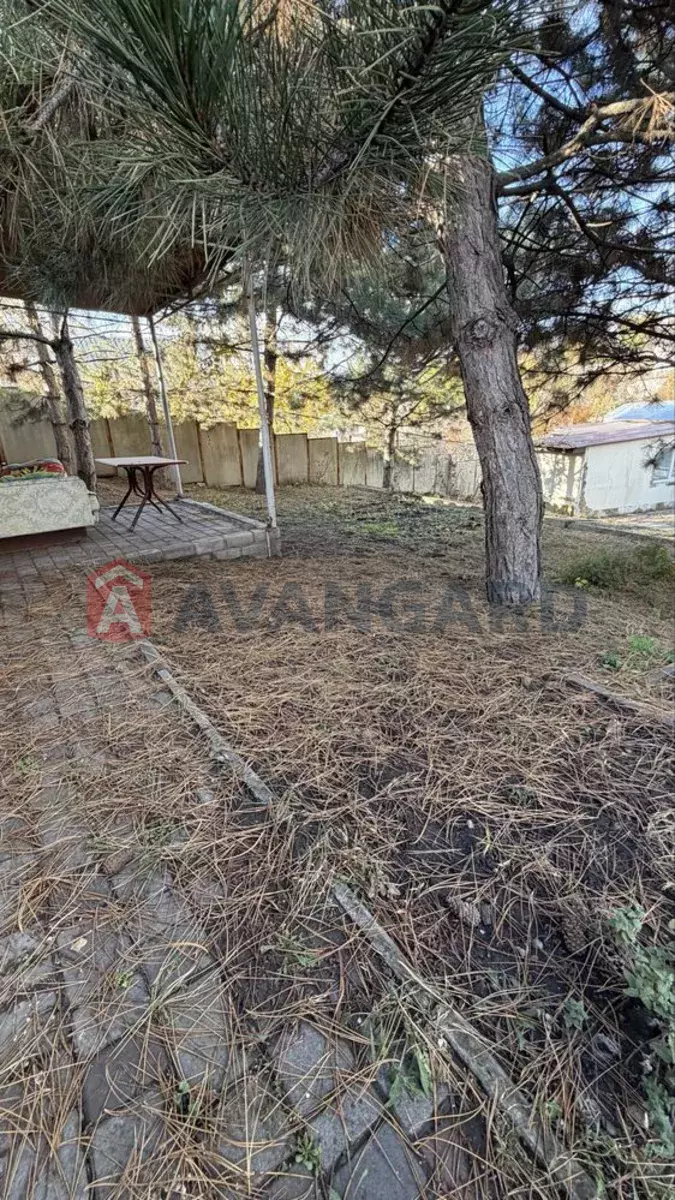 �������, 200 ��.�. ���� 14