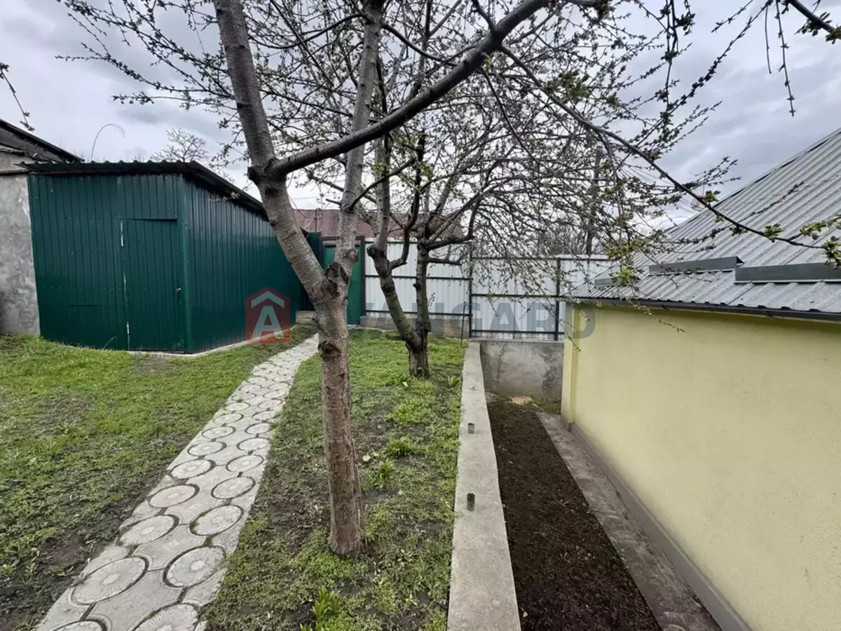 �������, 95 ��.�. ���� 20