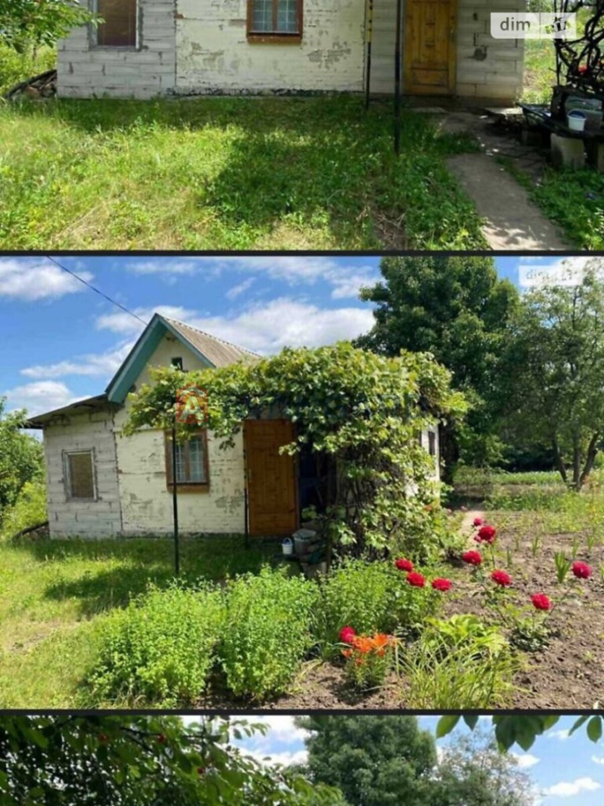 �������, 40 ��.�. ���� 2