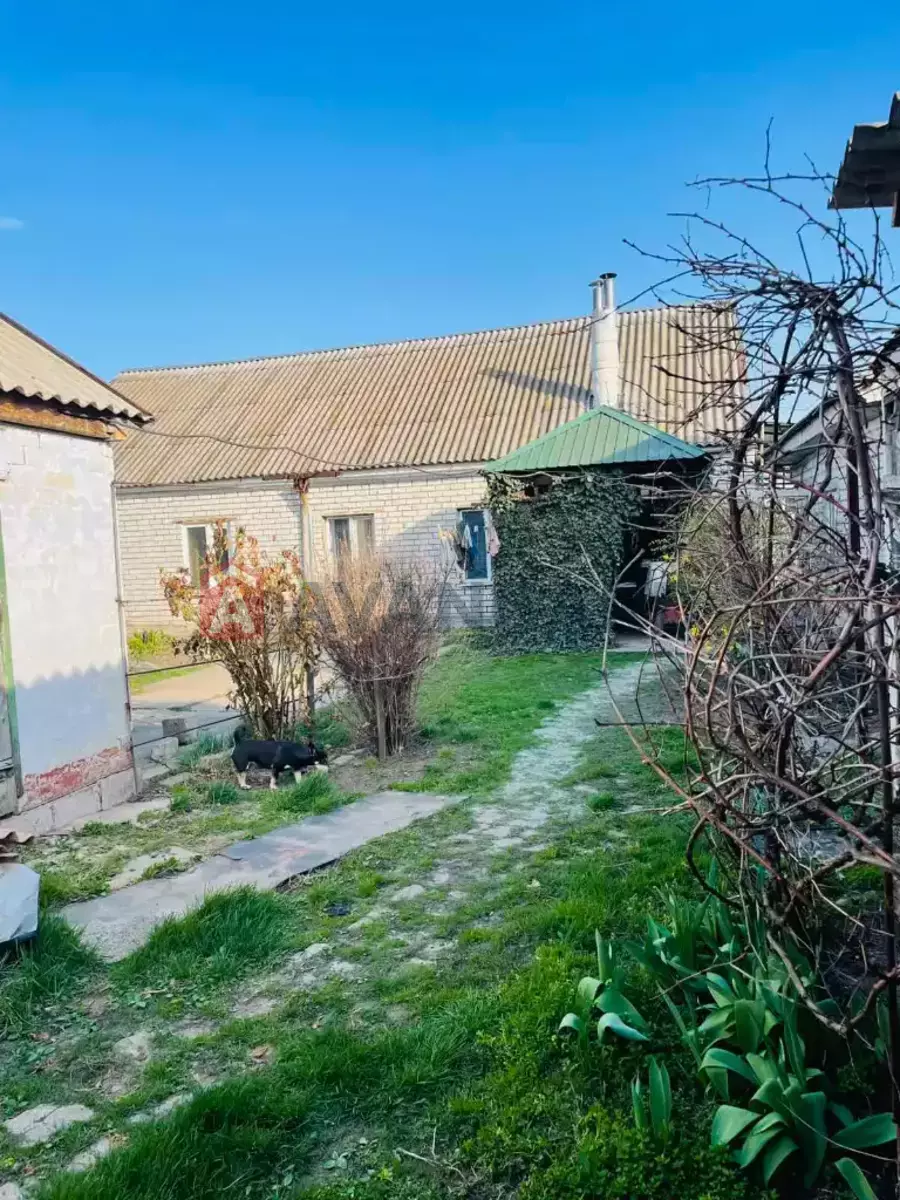 �������, 50 ��.�. ���� 6