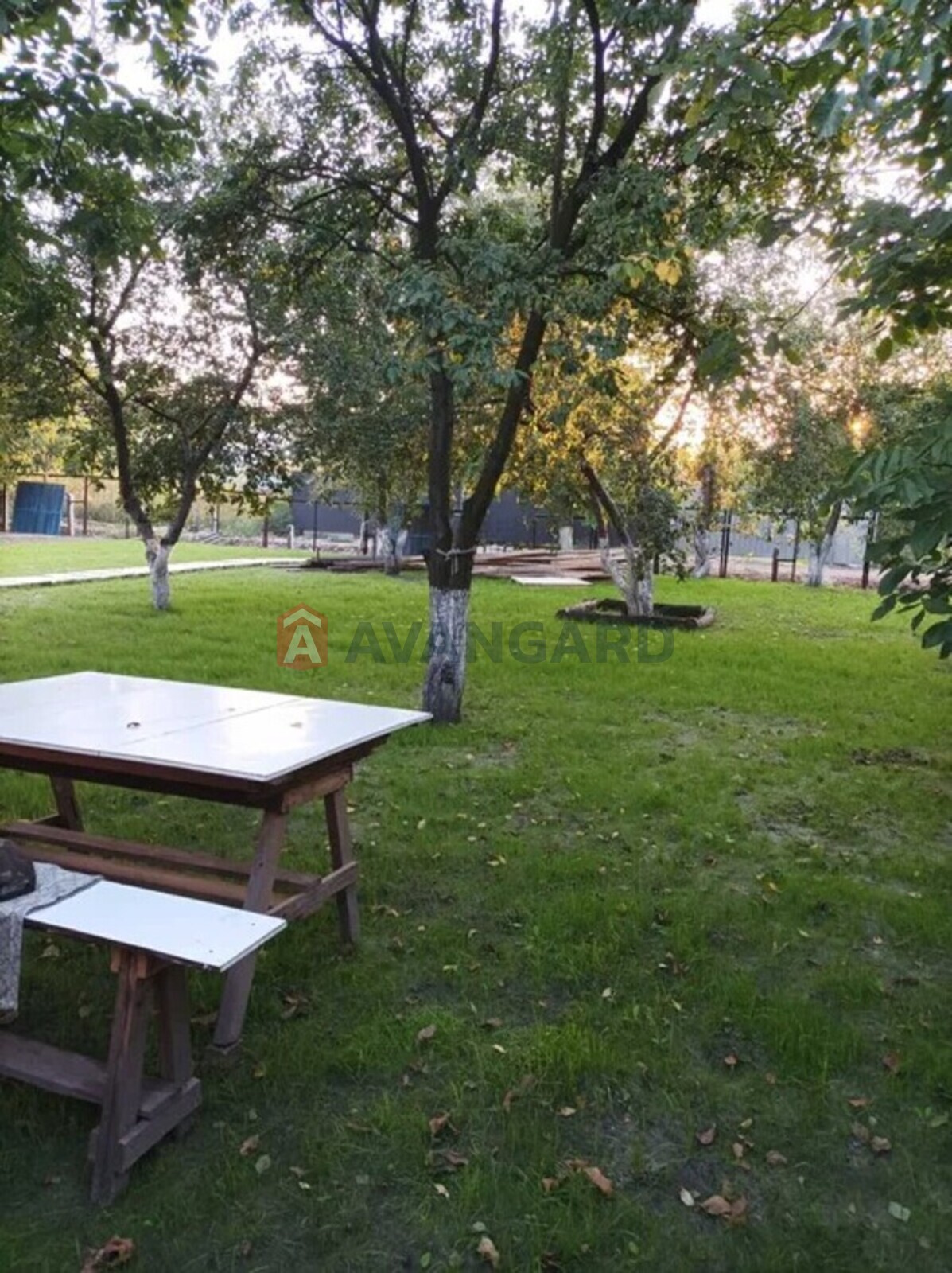 ����, 60 ��.�. ���� 3