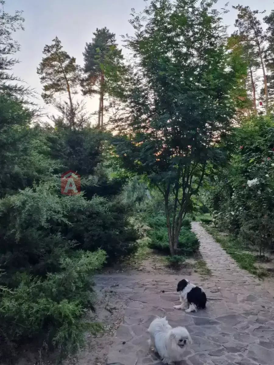 216 ��.�. ���� 16