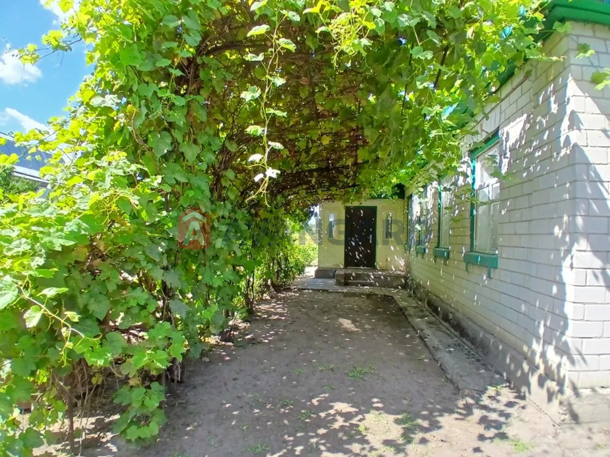 �������, 88 ��.�. ���� 2