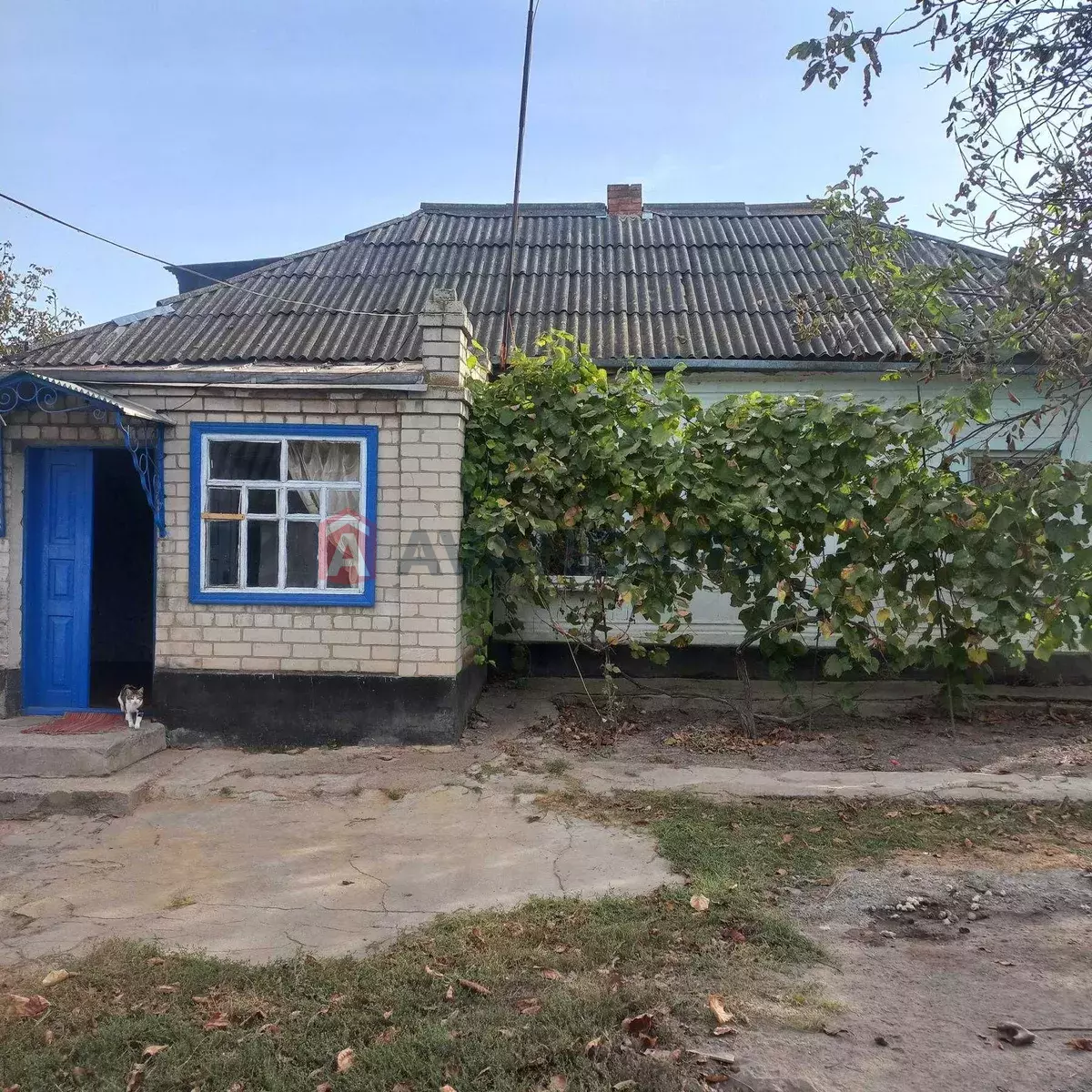 �������, 58 ��.�. ���� 1