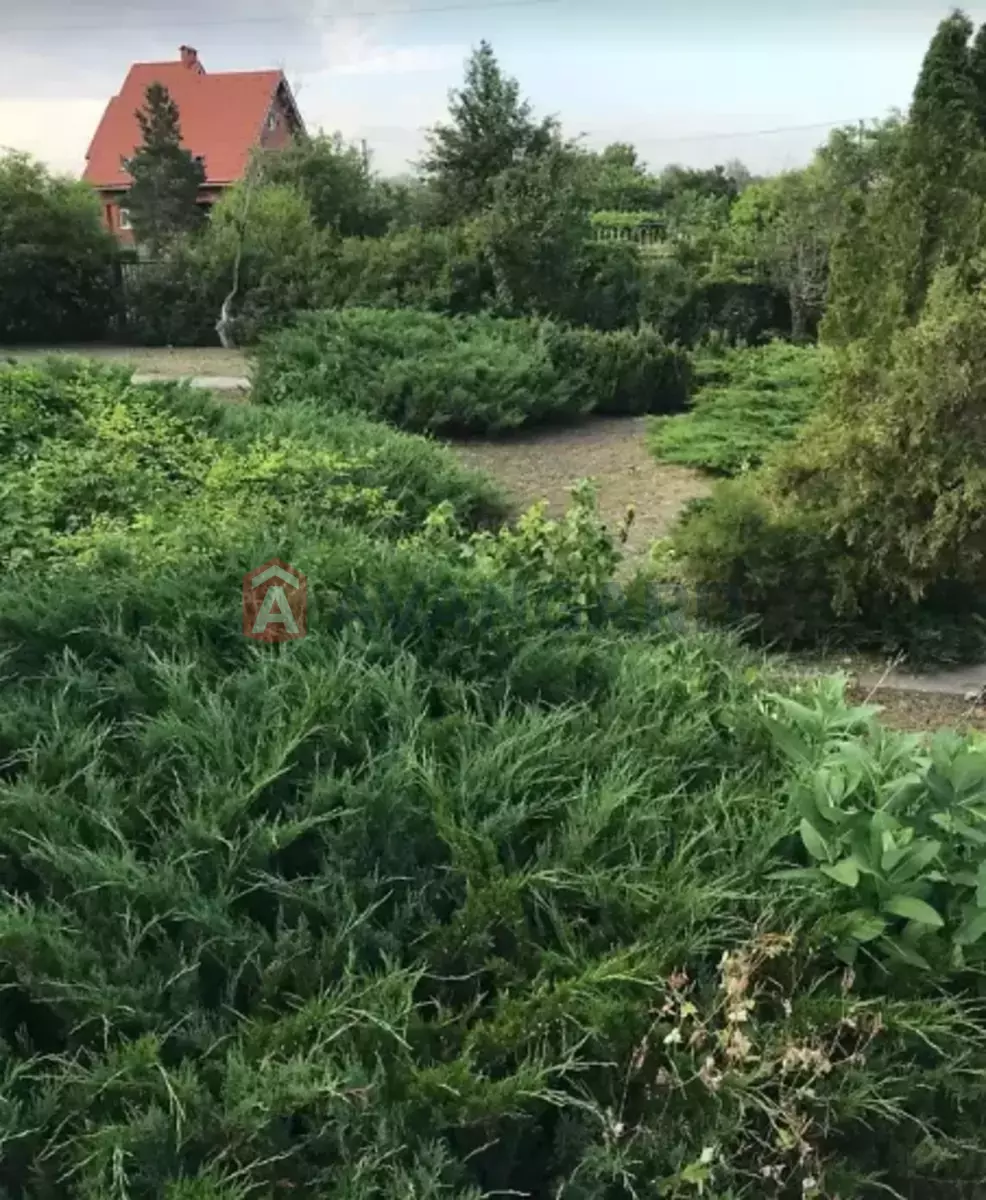����, 62 ��.�. ���� 4