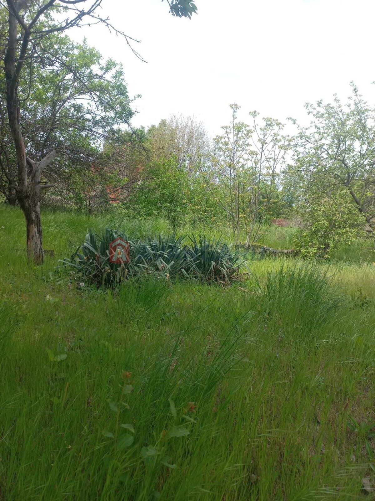 5 ..  16