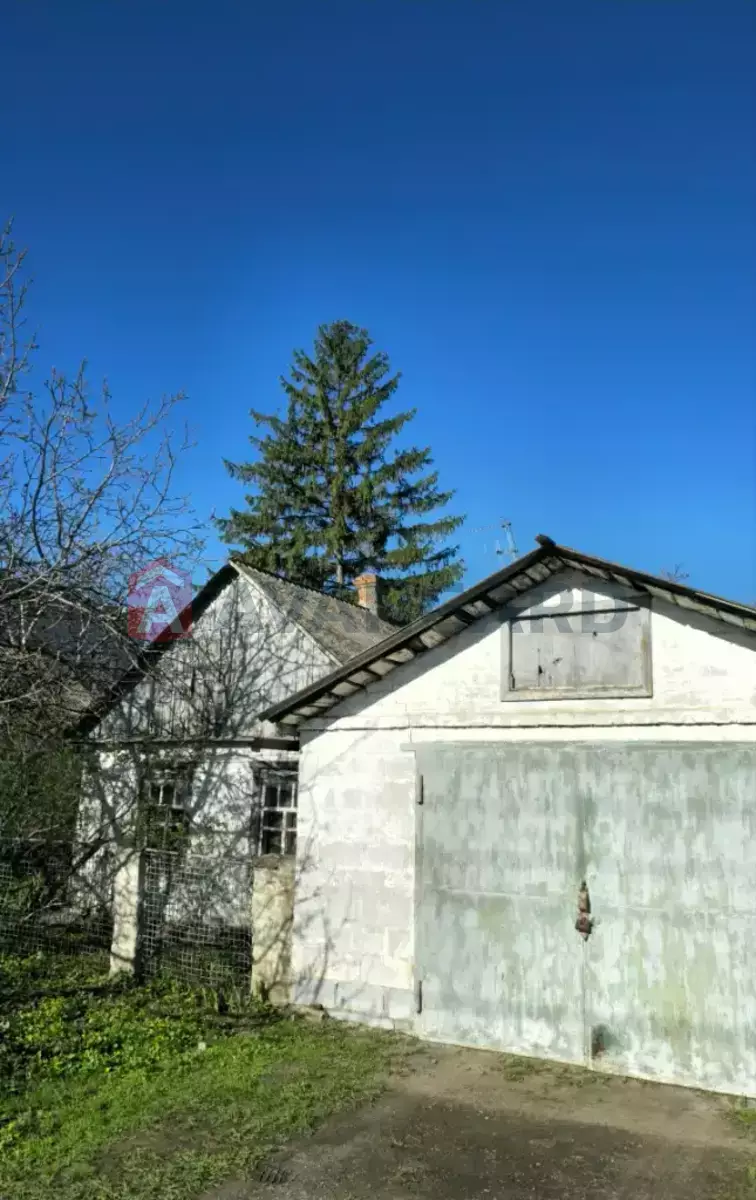 �������, 46 ��.�. ���� 10