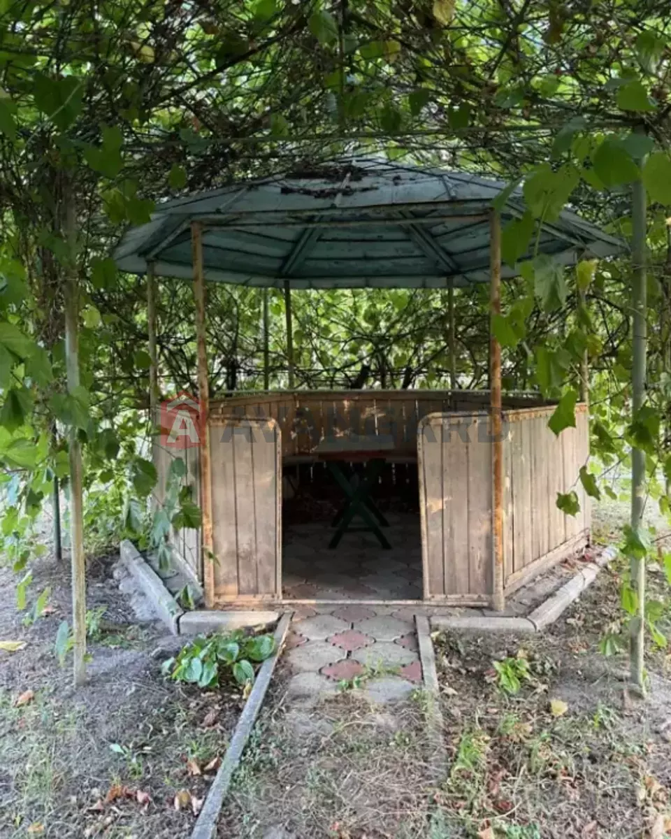 �������, 382 ��.�. ���� 3