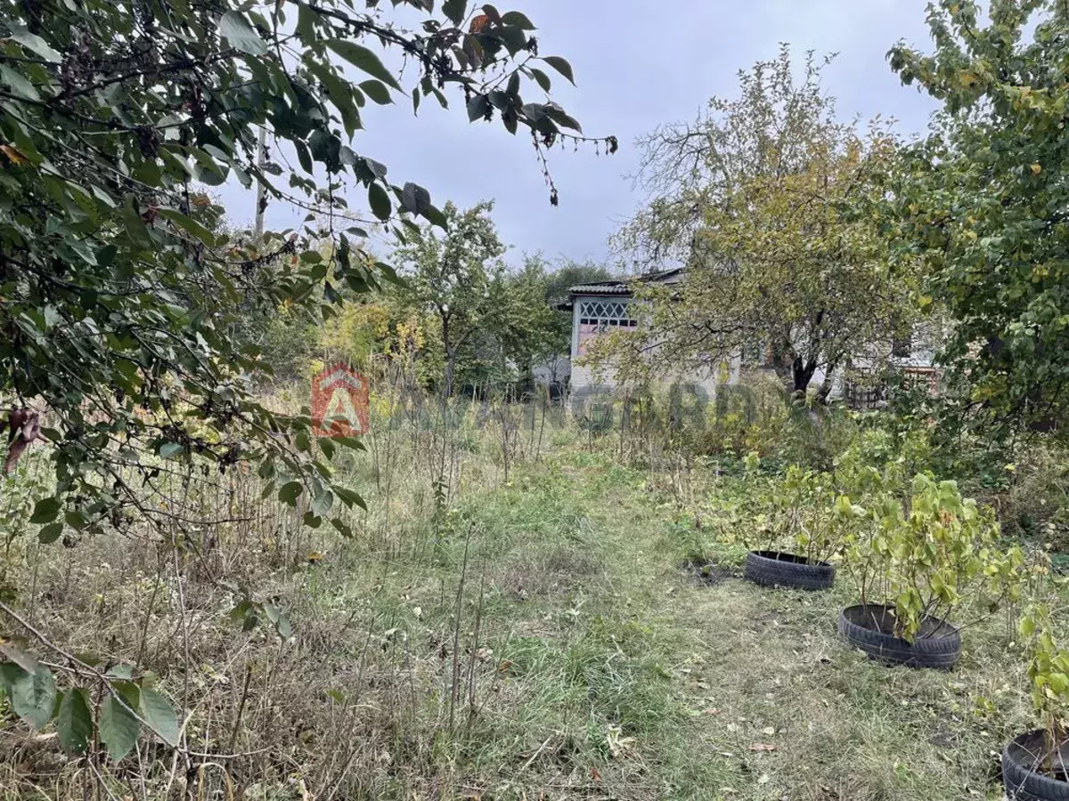 ������� �������, 32 ��.�. ���� 6