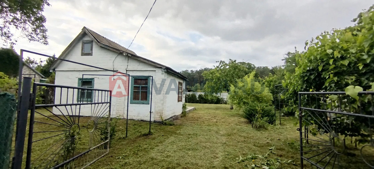 ����, 40 ��.�. ���� 1