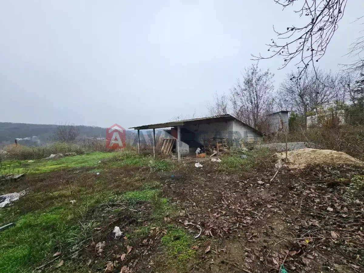 �������, 40 ��.�. ���� 7