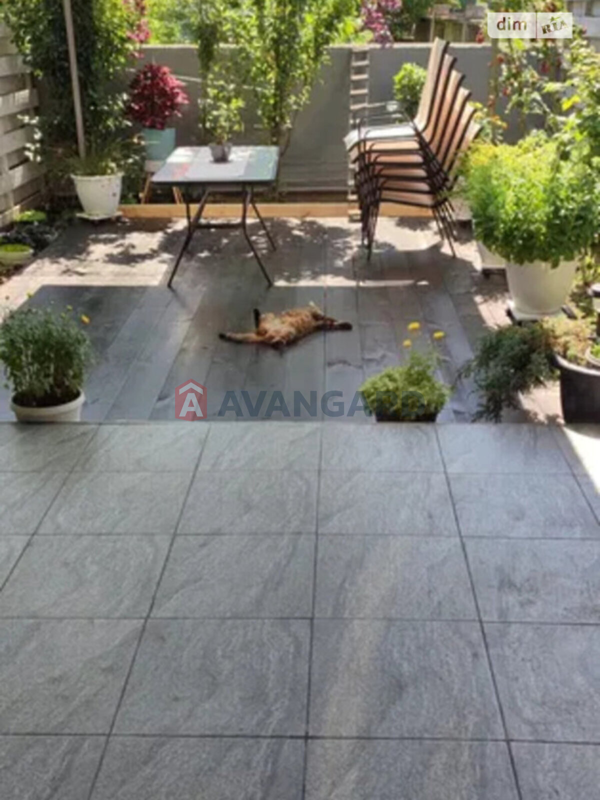 ��������, 77 ��.�. ���� 18