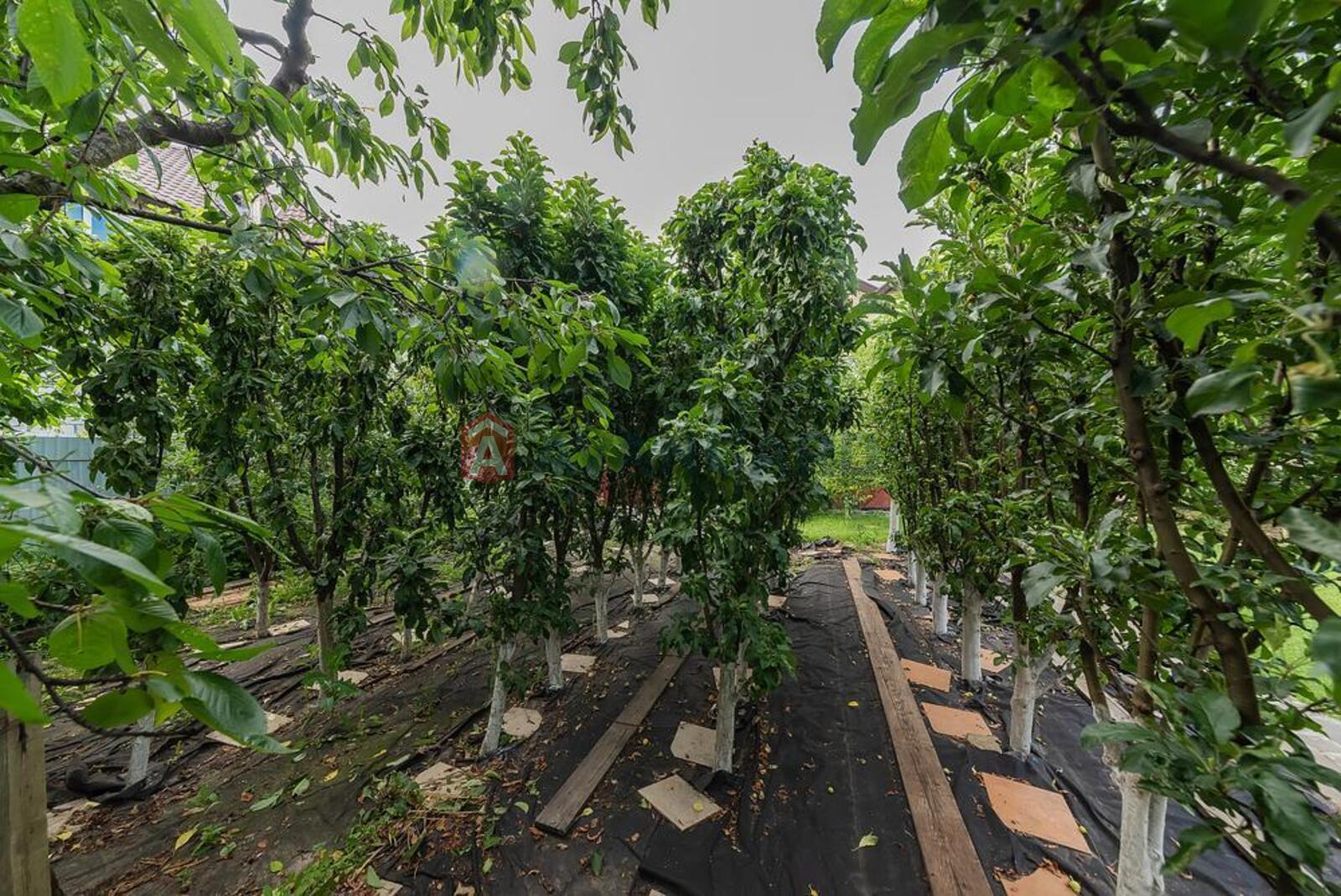 �������, 283 ��.�. ���� 19