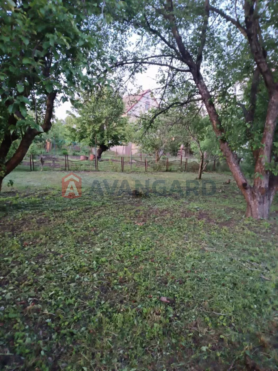 ����, 64 ��.�. ���� 6