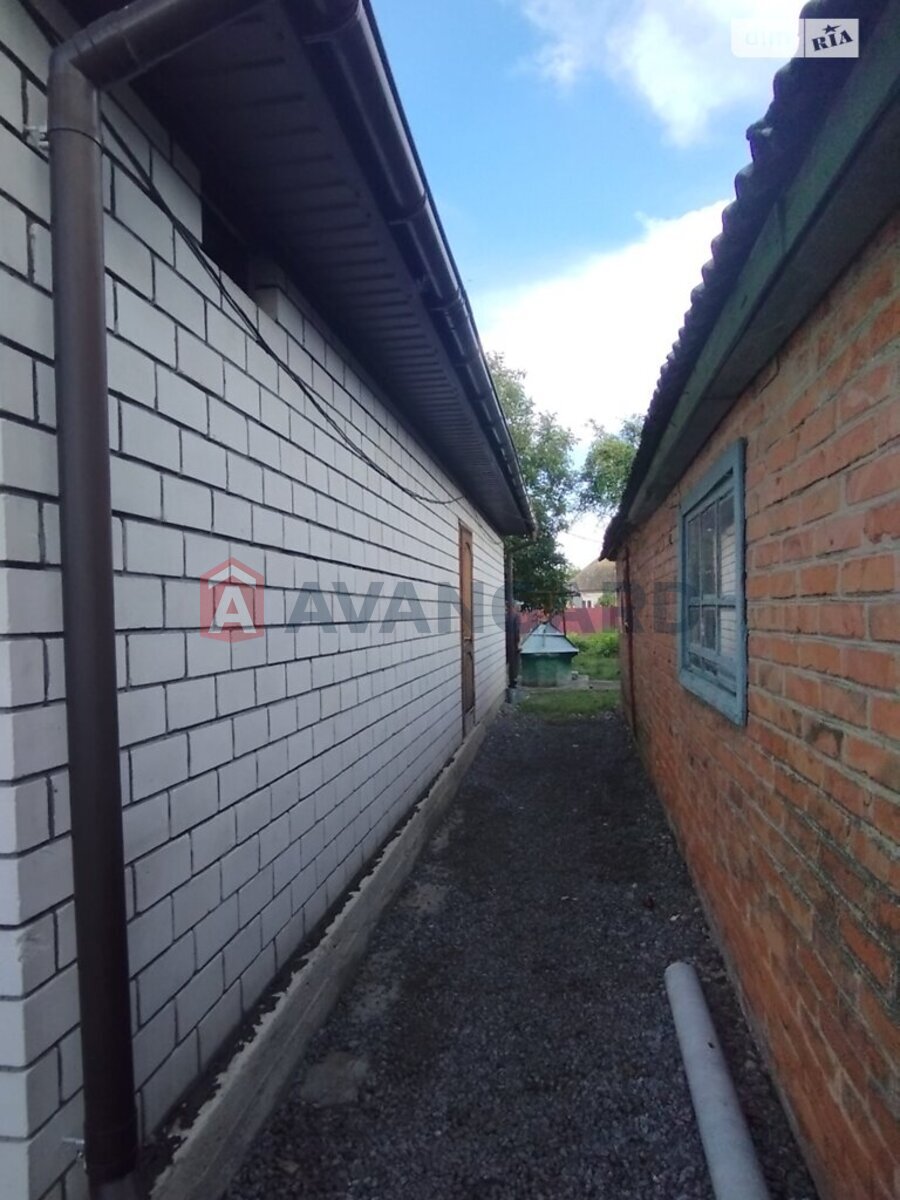 �������, 102 ��.�. ���� 13