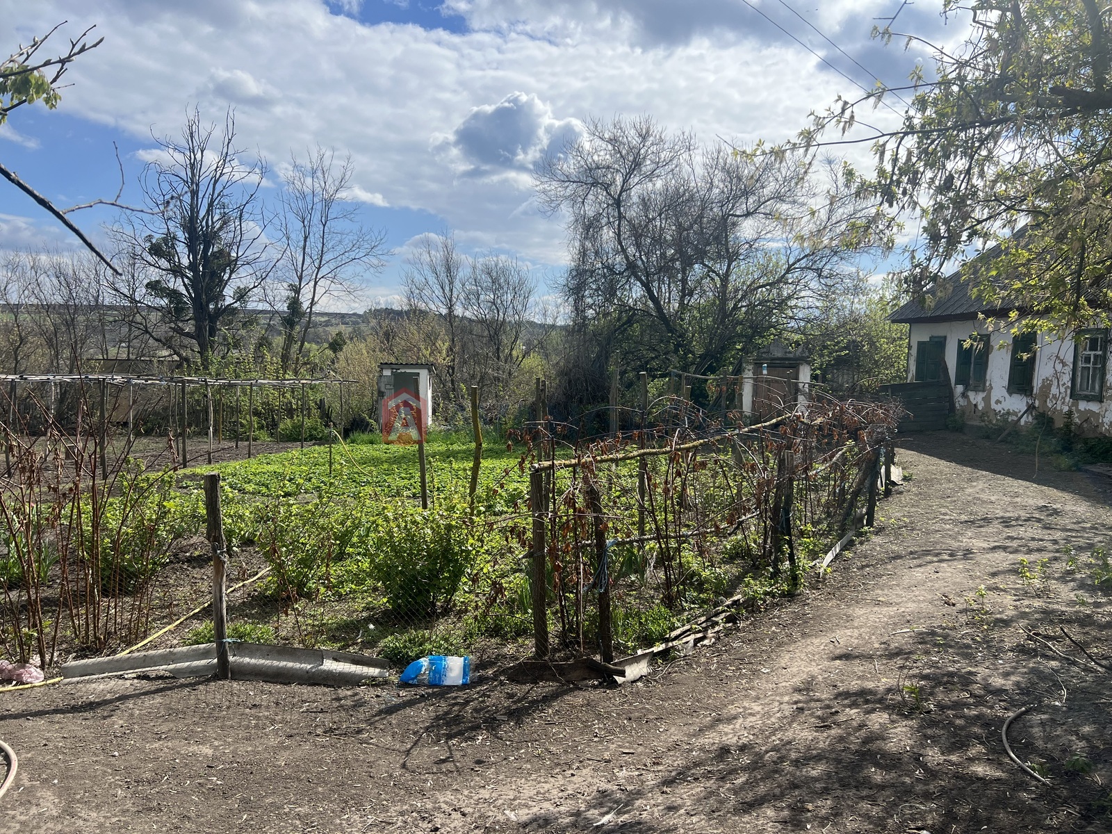 �������, 50 ��.�. ���� 5