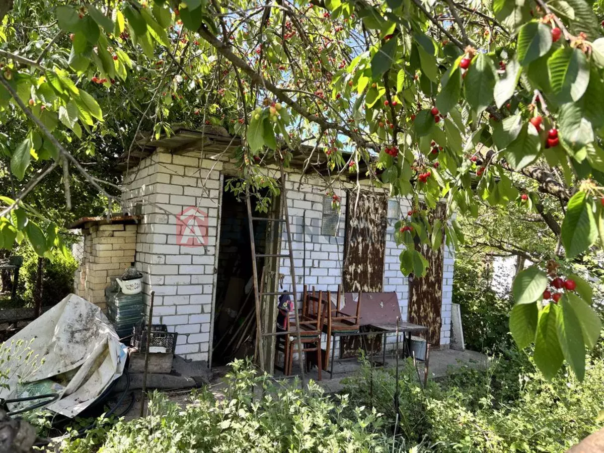 25 ��.�. ���� 7