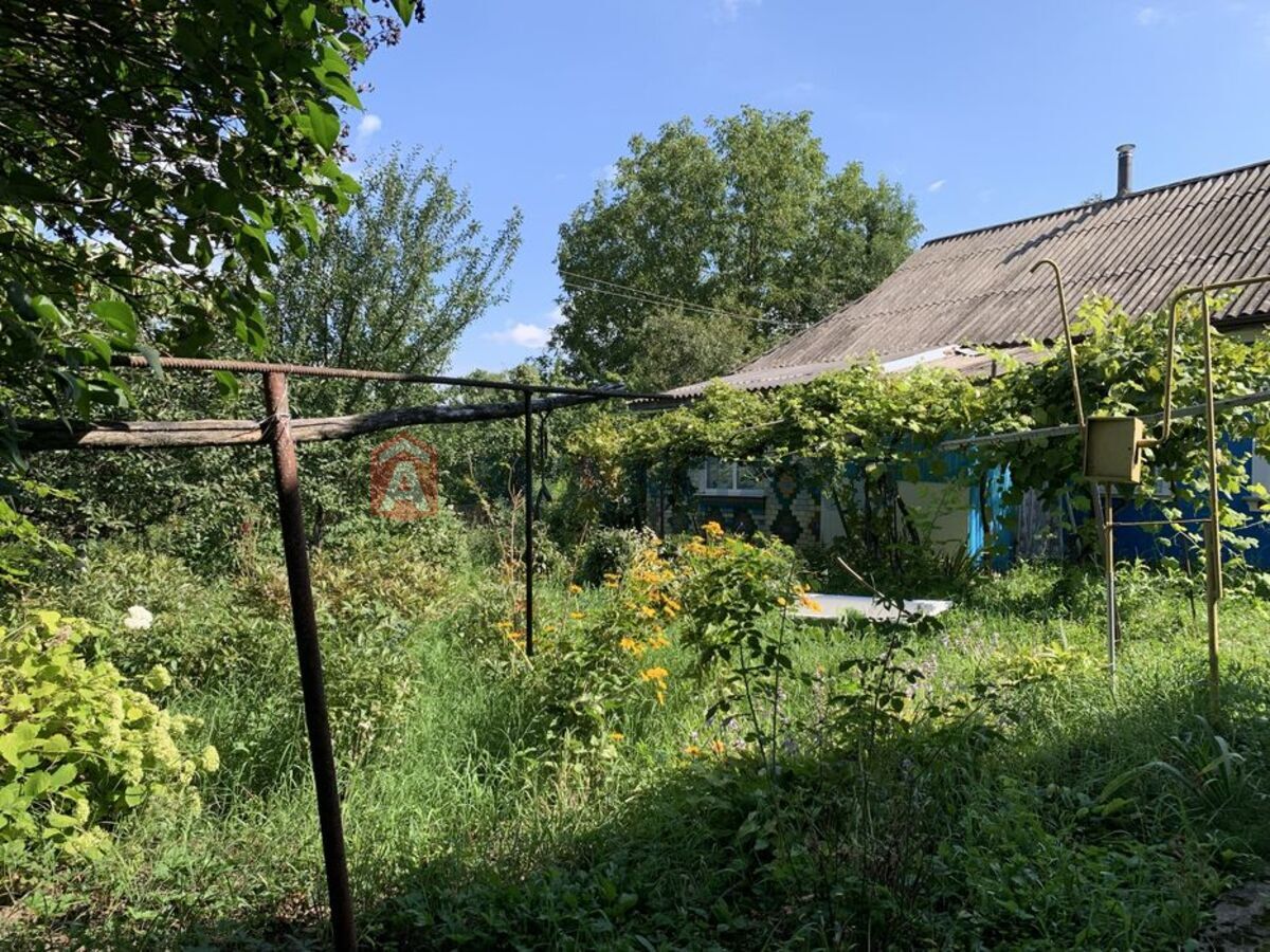 �������, 45 ��.�. ���� 10