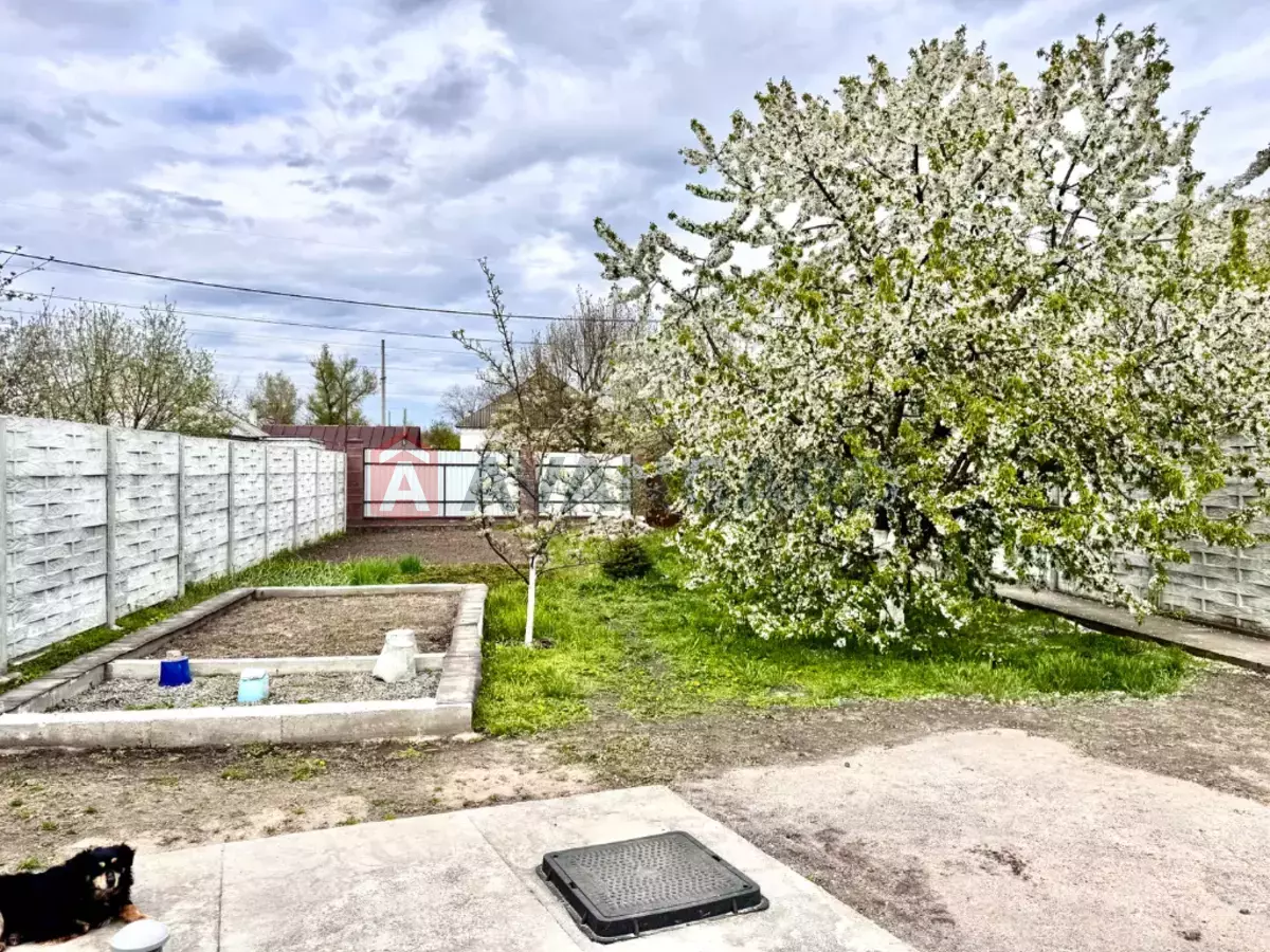 �������, 55 ��.�. ���� 8