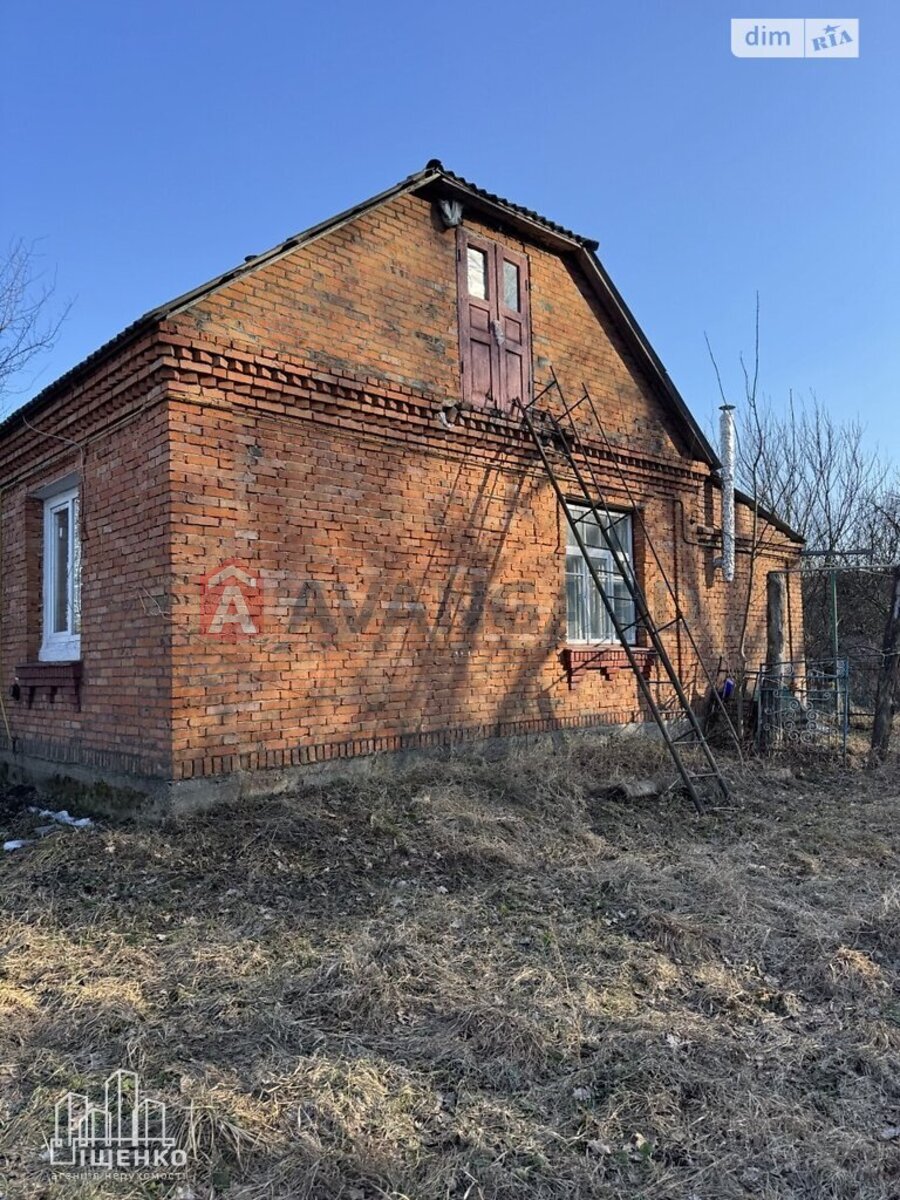 �������, 67 ��.�. ���� 24