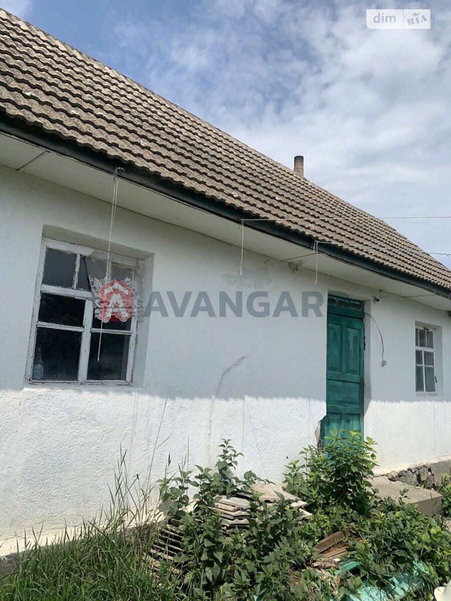 �������, 80 ��.�. ���� 4