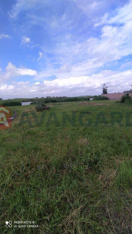 �������, 400 ��.�. ���� 3