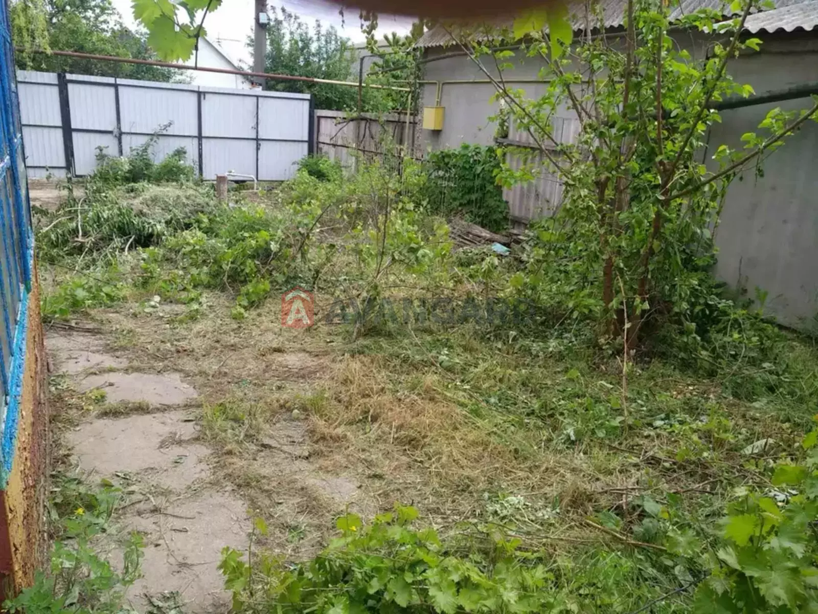 �������, 51 ��.�. ���� 10