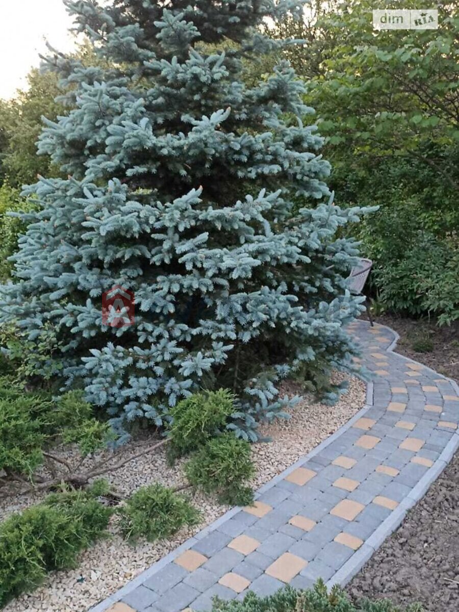 �������, 137 ��.�. ���� 24