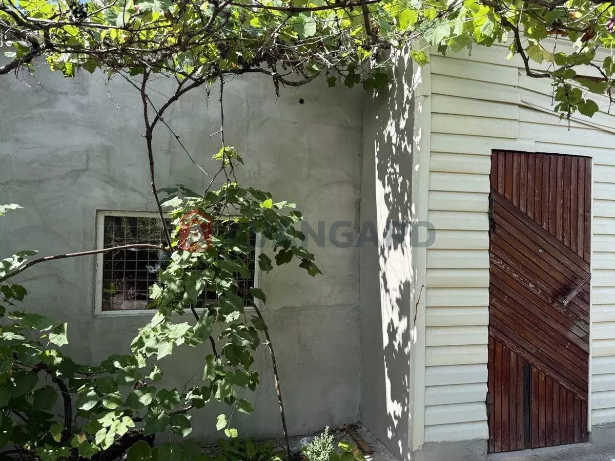 ����, 50 ��.�. ���� 1