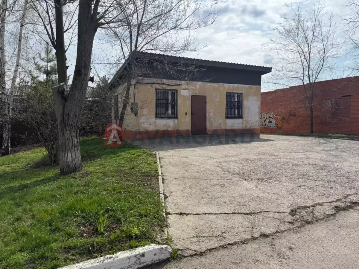 �������, 39 ��.�. ���� 13