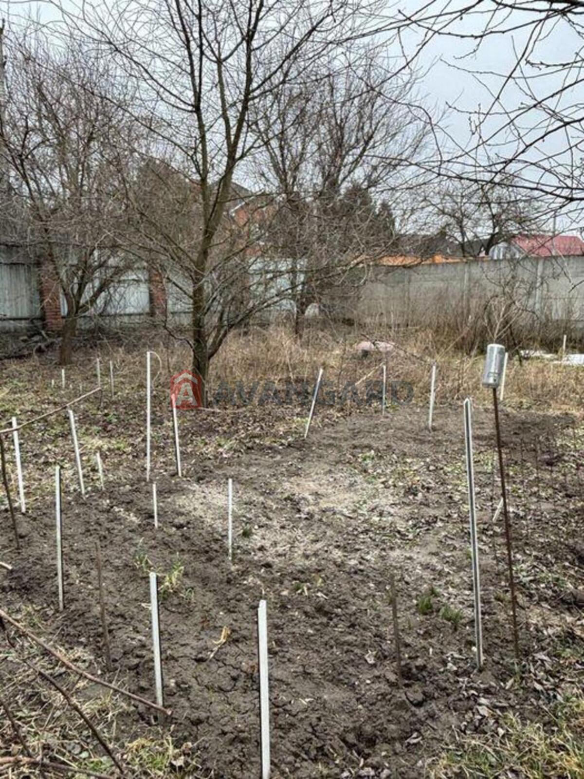 �������, 43 ��.�. ���� 3