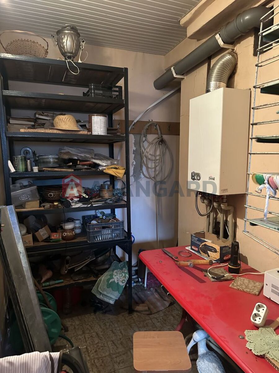 �������, 181 ��.�. ���� 14