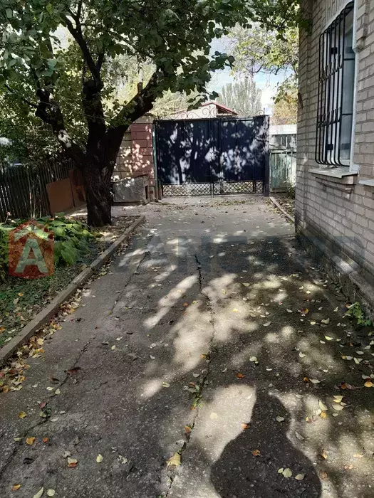 �������, 53 ��.�. ���� 2