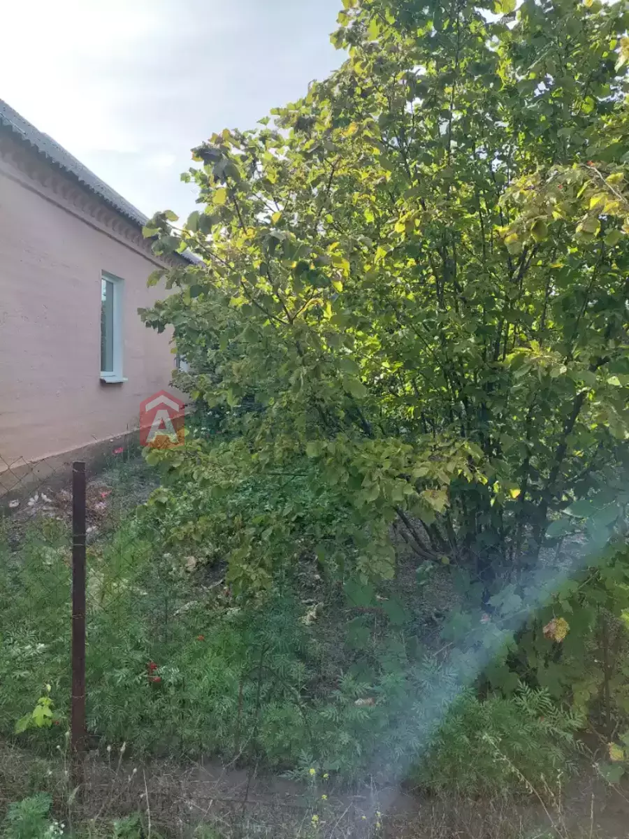 �������, 79 ��.�. ���� 5